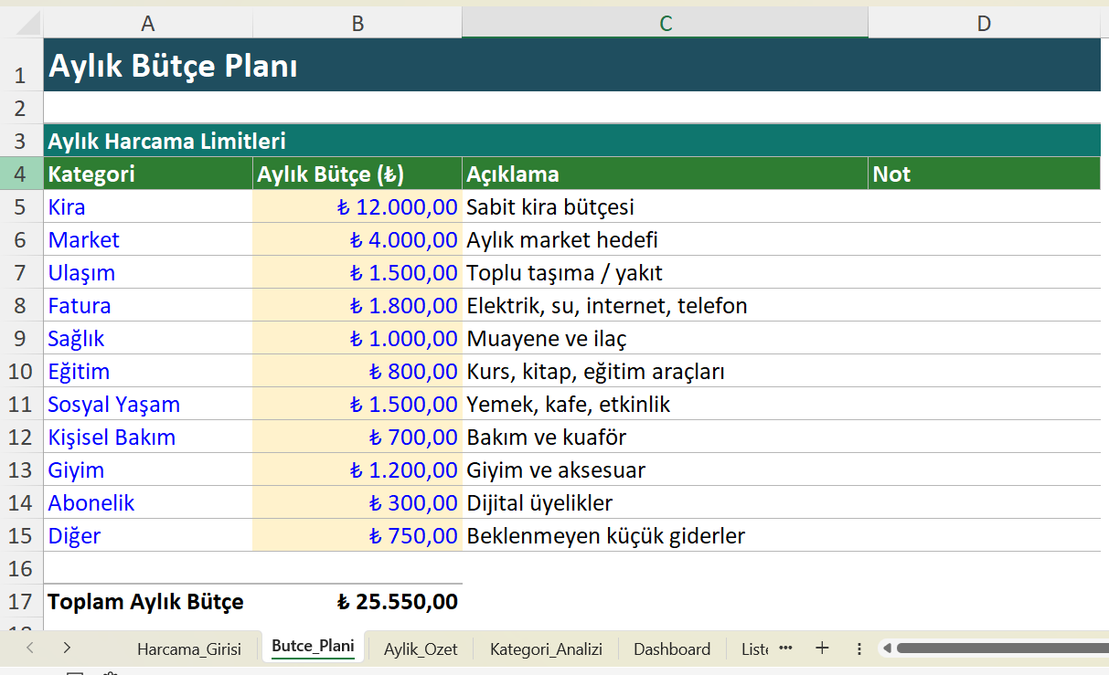 Bütçe planı çalışma sayfası